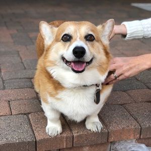 Meet your Posher, Chloe